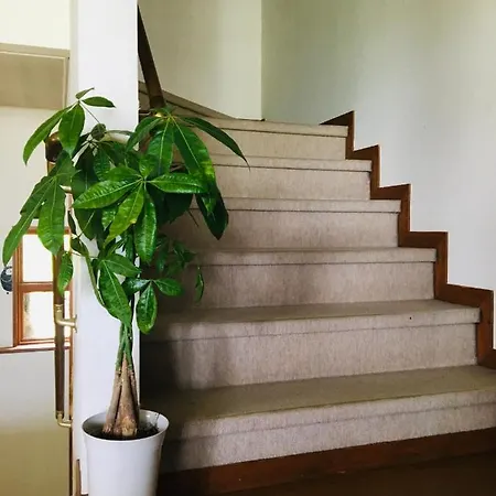 Hotel Radish House 仙北 外观 照片